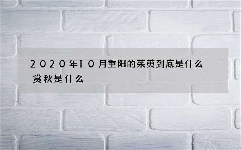 2020年10月重阳的茱萸到底是什么 赏秋是什么